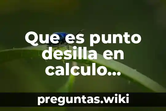 Que es punto desilla en calculo vectorial