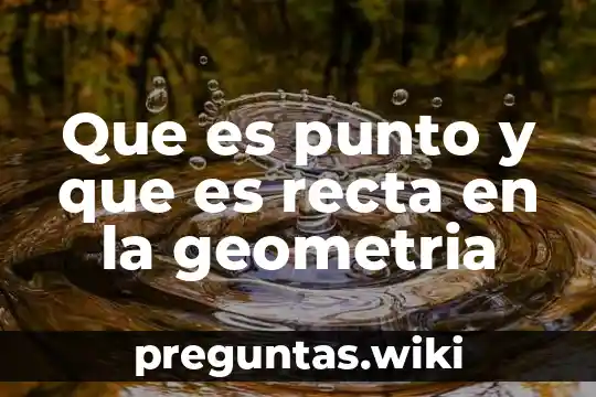 Que es punto y que es recta en la geometria