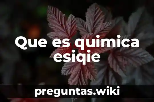 Que es quimica esiqie