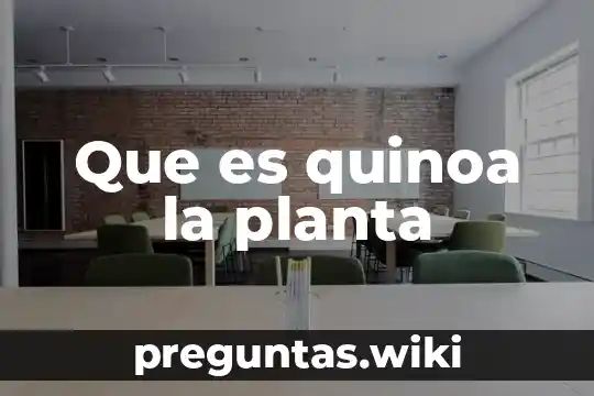 Que es quinoa la planta