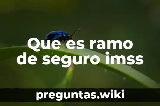 Que es ramo de seguro imss