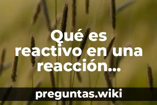 Qué es reactivo en una reacción química