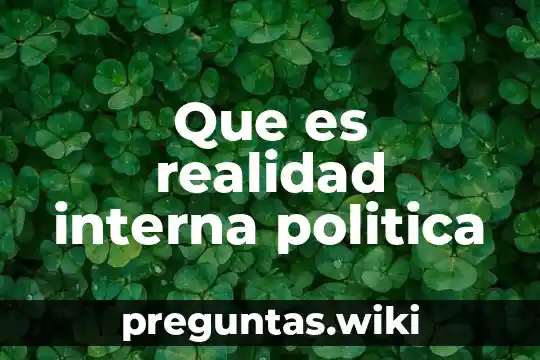 Que es realidad interna politica