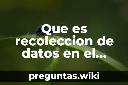 Que es recoleccion de datos en el metodo cientifico