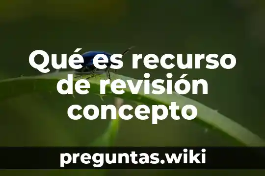 Qué es recurso de revisión concepto