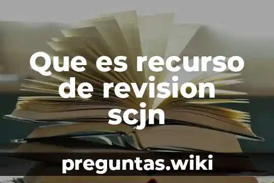 Que es recurso de revision scjn