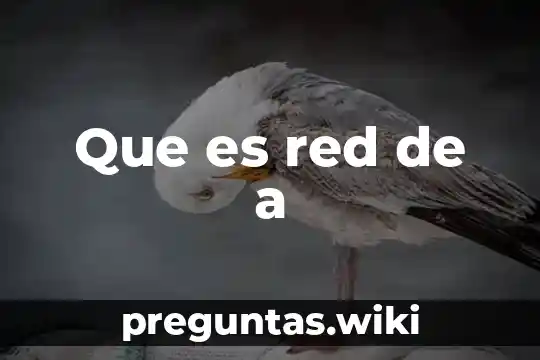 Que es red de a