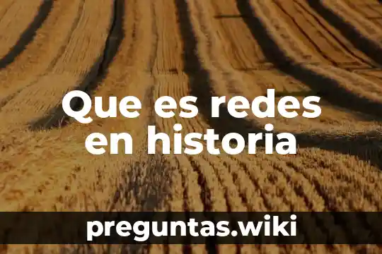 Que es redes en historia