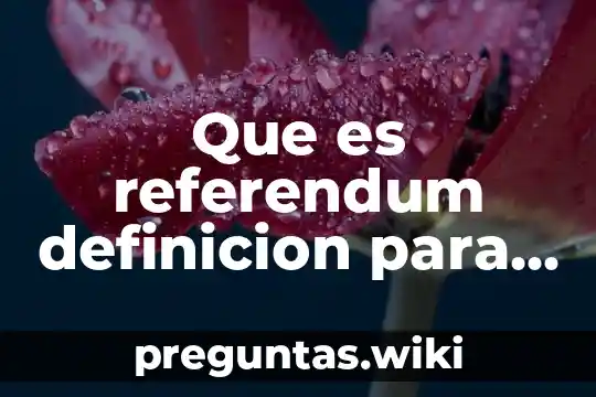 Que es referendum definicion para niños
