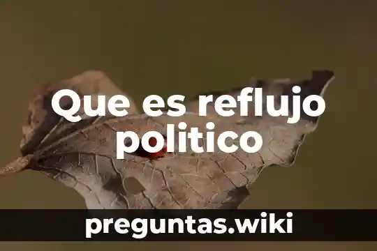 Que es reflujo politico