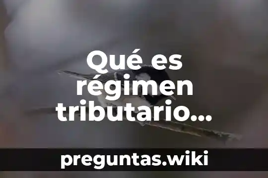 Qué es régimen tributario interno
