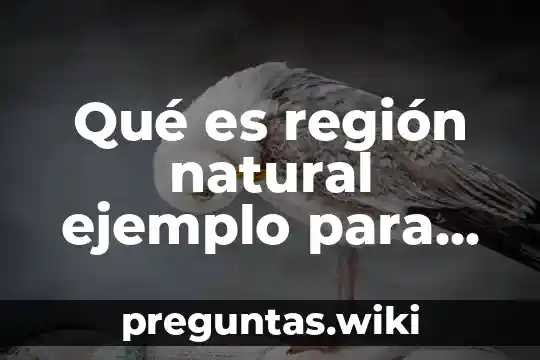 Qué es región natural ejemplo para niños
