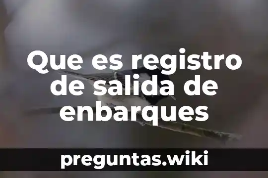 Que es registro de salida de enbarques