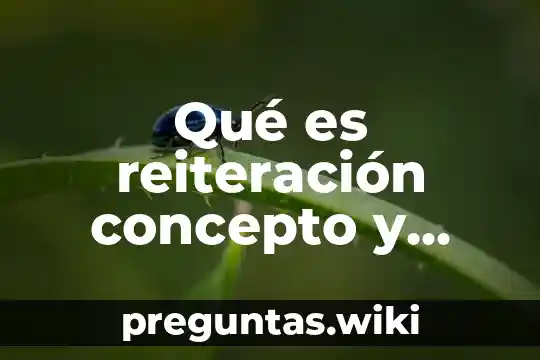 Qué es reiteración concepto y ejemplos