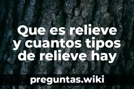Que es relieve y cuantos tipos de relieve hay