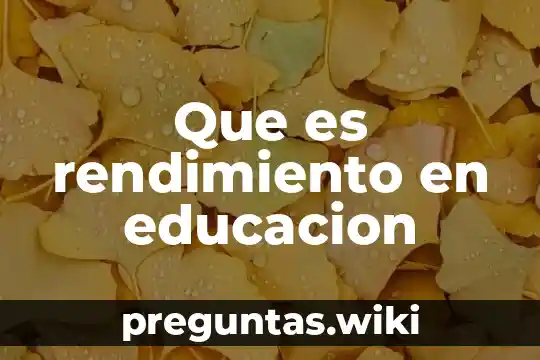 Que es rendimiento en educacion