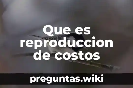 Que es reproduccion de costos