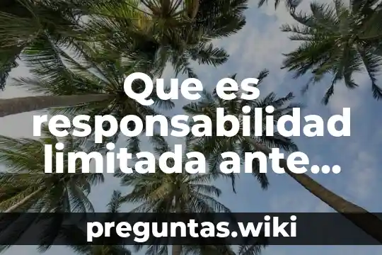 Que es responsabilidad limitada ante la ley