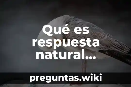 Qué es respuesta natural circuitos