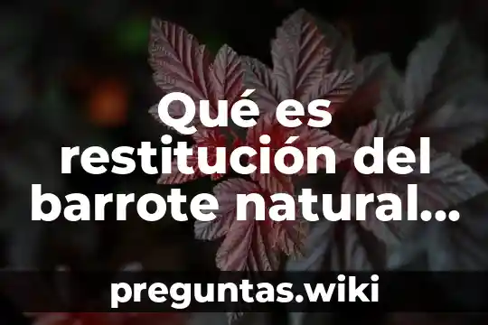 Qué es restitución del barrote natural de conagua