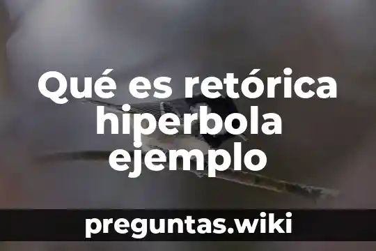 Qué es retórica hiperbola ejemplo