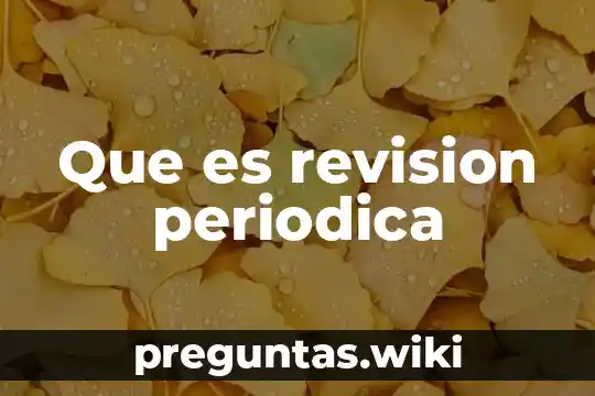 Que es revision periodica