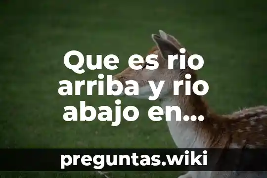 Que es rio arriba y rio abajo en biologia