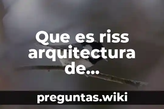 Que es riss arquitectura de computadoras