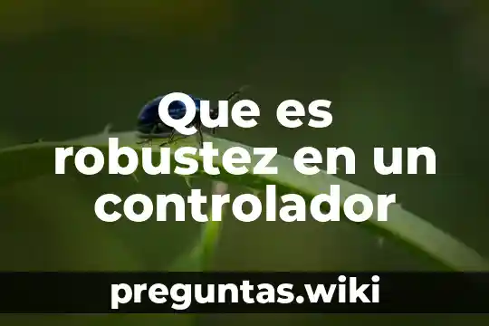 Que es robustez en un controlador