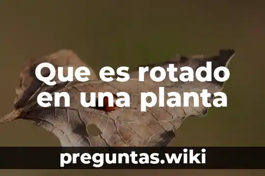 Que es rotado en una planta