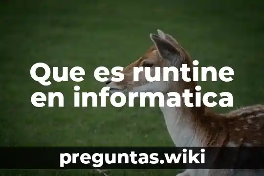 Que es runtine en informatica