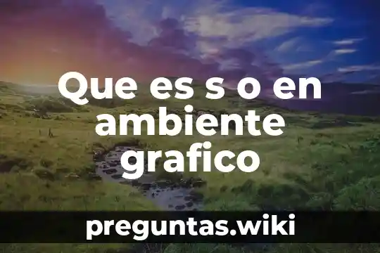 Que es s o en ambiente grafico