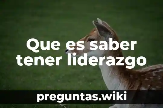 Que es saber tener liderazgo