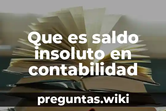 Que es saldo insoluto en contabilidad