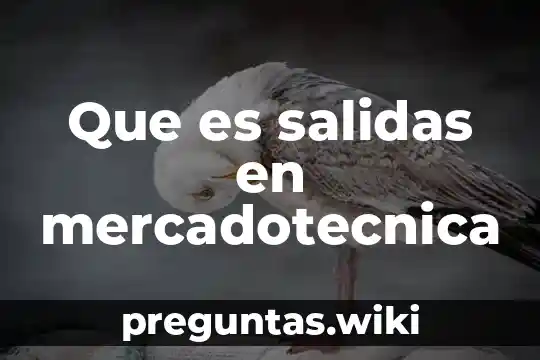Que es salidas en mercadotecnica