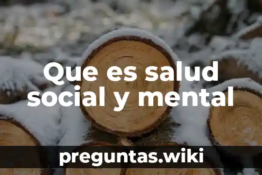 Que es salud social y mental