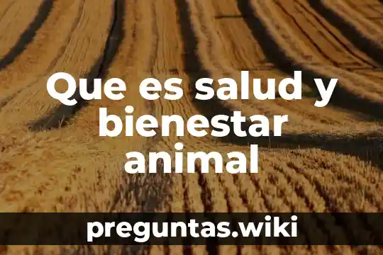 Que es salud y bienestar animal