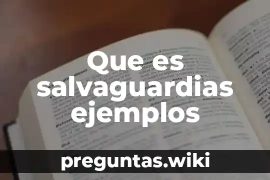 Que es salvaguardias ejemplos