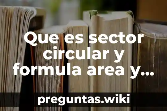 Que es sector circular y formula area y perimetro