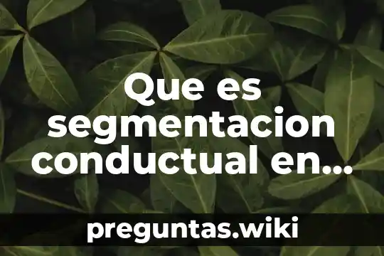 Que es segmentacion conductual en marketing