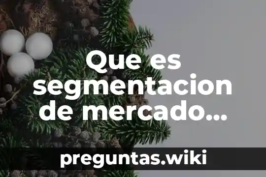 Que es segmentacion de mercado psicografica