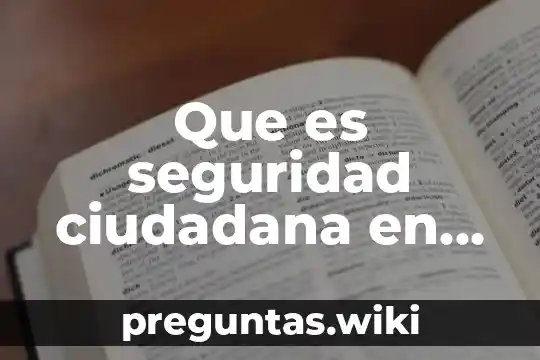 Que es seguridad ciudadana en el peru