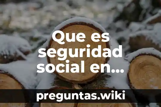 Que es seguridad social en economia