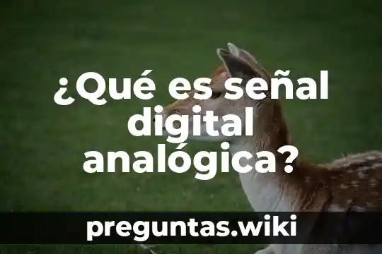 ¿Qué es señal digital analógica?