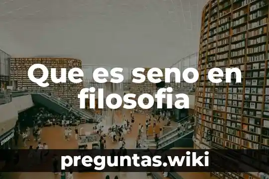 Que es seno en filosofia