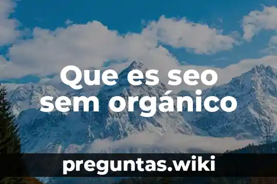 Que es seo sem orgánico