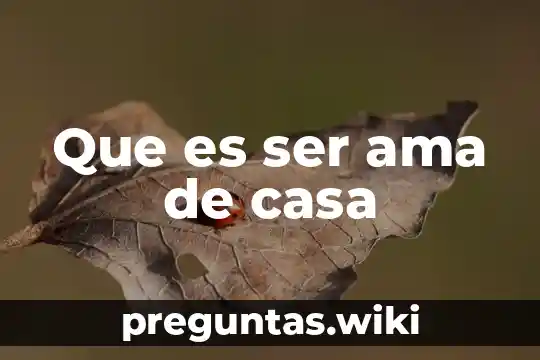 Que es ser ama de casa