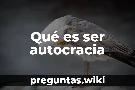 Qué es ser autocracia