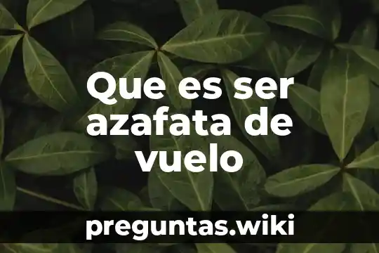 Que es ser azafata de vuelo