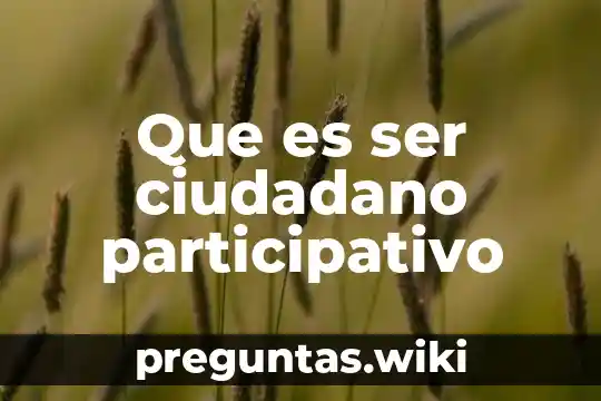 Que es ser ciudadano participativo